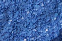 Gusswachs, extra, 2,5 kg ☆☆☆